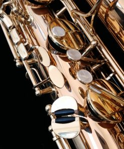 Yanagisawa B902 Bronze Bari Sax