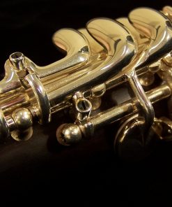 Buffet Divine Clarinet