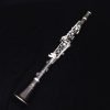 Buffet R13 Professional Clarinet - Silver Keys