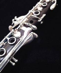Buffet R13 Professional Clarinet - Silver Keys
