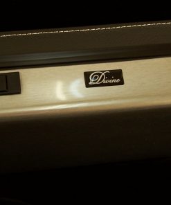 Buffet Divine Clarinet