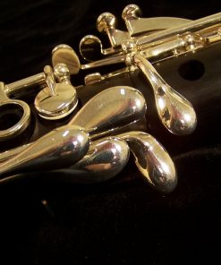 Buffet Divine Clarinet