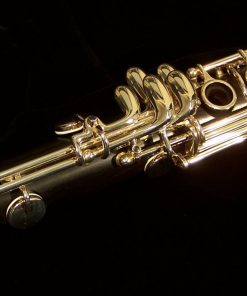 Buffet Divine A Clarinet - Key of A