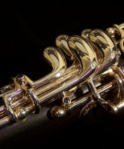 Buffet Divine A Clarinet - Key of A