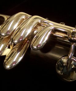 Buffet Divine A Clarinet - Key of A