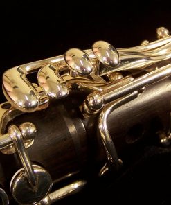 Buffet Divine Clarinet