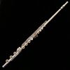 Azumi AZ2 Series Flute - by Altus