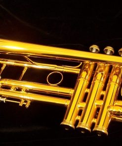 B&S Challenger Trumpet - 3137 Dark Gold Lacquer Shown