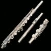 Di Zhao 400 Series Flute