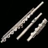 Di Zhao 500 Series Flute