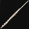 Di Zhao 600 Series Solid Silver Flute
