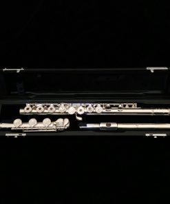 Di Zhao 600 Series Solid Silver Flute