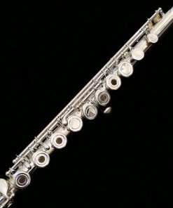 Di Zhao 600 Series Solid Silver Flute