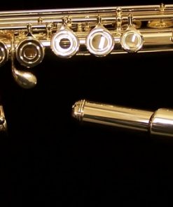 Avanti Flutes - 2000 Model with C# Trill Shown