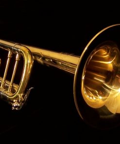 K.Custom Artist Series Pro Raw Brass Trumpet