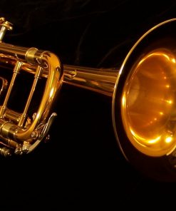 B&S Challenger Trumpet - 3137 Dark Gold Lacquer Shown