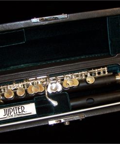 Jupiter diMedici Piccolo - 905ES