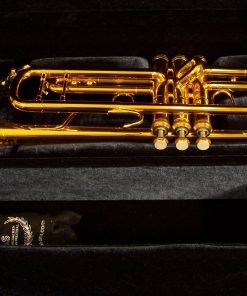 B&S Challenger Trumpet - 3137 Dark Gold Lacquer Shown