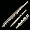 Kessler Custom Artist Series Performance Flute