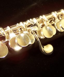 Jupiter Piccolo - 303S Model