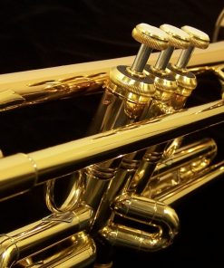 Bach Commercial LT190 Stradivarius Trumpets