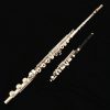 Pearl Elegante Vigore Flute - 795RBE-VGR
