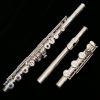 Pearl 665 Quantz Flute - with Forza Headjoint