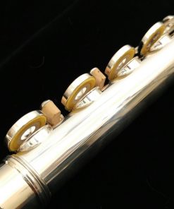Pearl 665 Quantz Flute - with Forza Headjoint