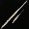 Pearl Quantz 765 Solid Silver Flute - with Forza Headjoint