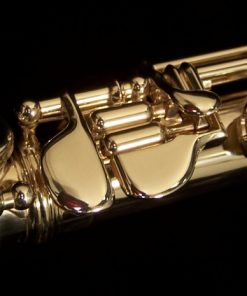 Avanti Flutes - 2000 Model with C# Trill Shown