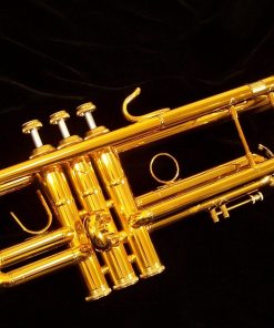 B&S Challenger Trumpet - 3137 Dark Gold Lacquer Shown