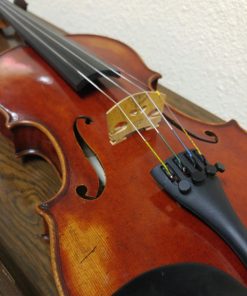 Classical Strings Master Model 900 Violin