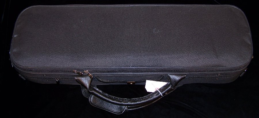 Classical Strings Violin Case