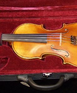 Scott Cao 017 Student Violin