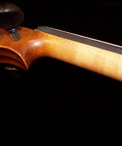 Scott Cao 017 Student Violin