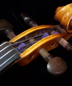 Scott Cao 017 Student Violin