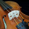 Scott Cao 750E DaSalo Violin