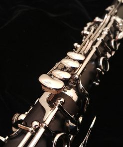 Backun Beta Clarinet - Nickel Keys