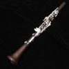 Backun Beta Clarinet - Silver Keys