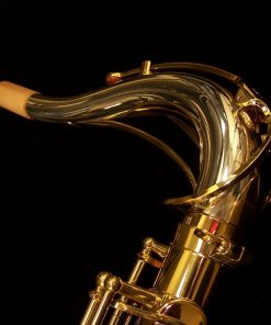 Yanagisawa T9933 Pro Tenor Sax
