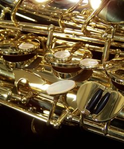 Yanagisawa T9933 Pro Tenor Sax
