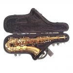 BAM Cabine Tenor Sax Case