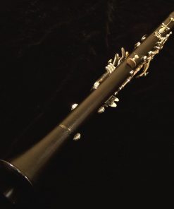 Lightly Used Selmer Privilege Clarinet