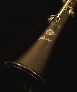 Lightly Used Selmer Privilege Clarinet
