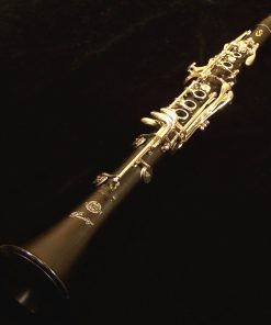 Lightly Used Selmer Privilege Clarinet