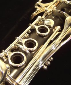 Lightly Used Selmer Privilege Clarinet