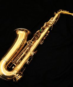 1974 Selmer Paris Mark VI Alto Sax #225,740, Completely Overhauled