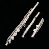 Jupiter Alto Flute - 1000 Series