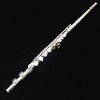 Jupiter 1100 Alto Flute - JAF-1100E