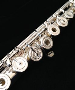 Amadeus 580 Flute by Haynes